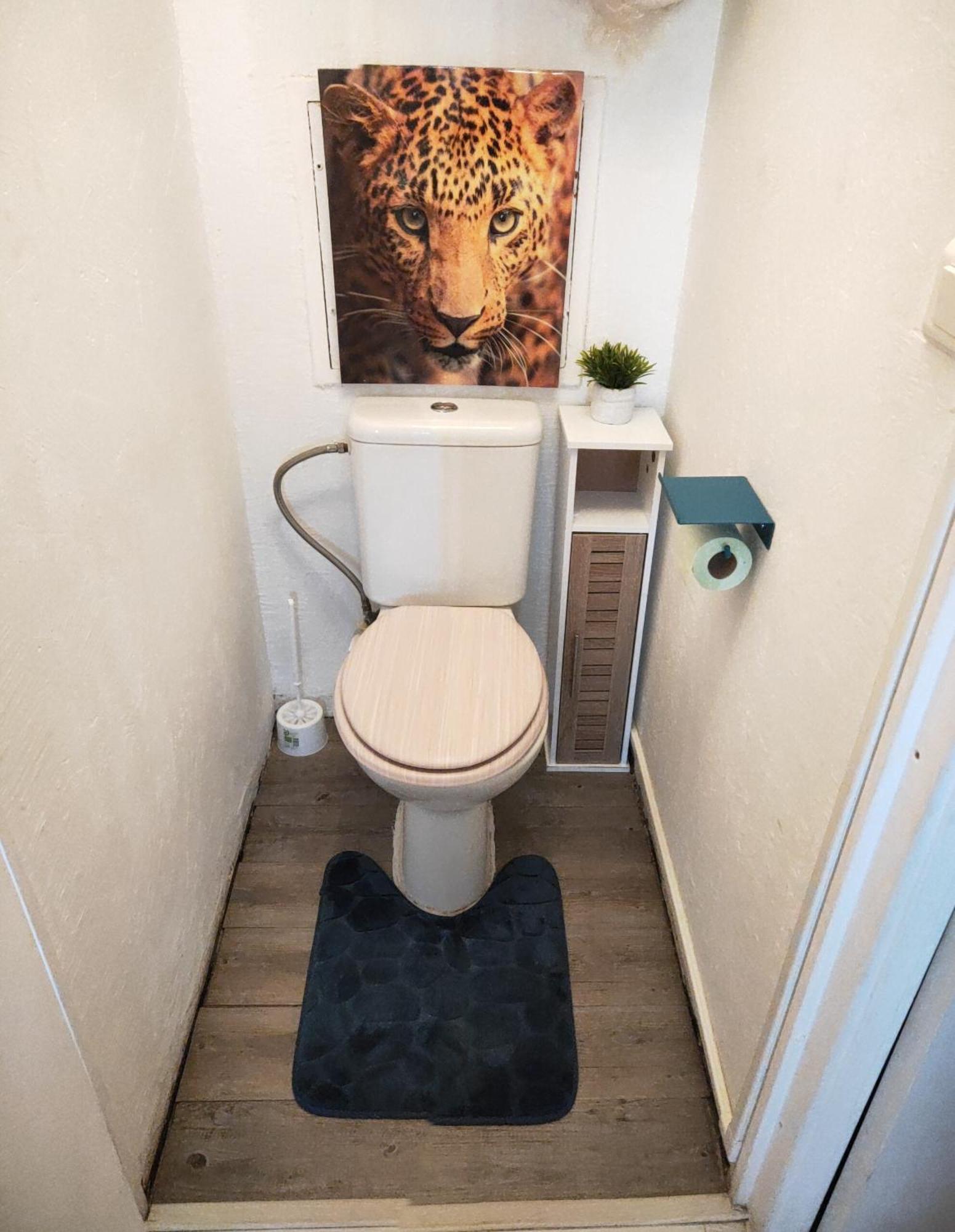 La Perle Marine, Cosy Et Renove, 200 M De La Plage, 1 Chambre, Parking Et Wifi 세테 외부 사진