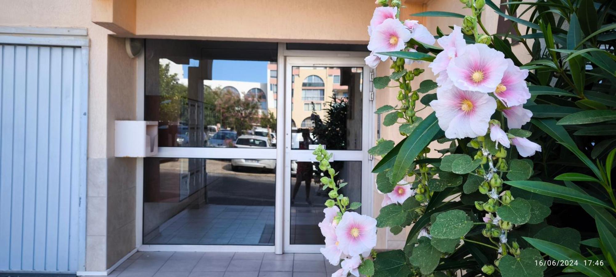 La Perle Marine, Cosy Et Renove, 200 M De La Plage, 1 Chambre, Parking Et Wifi 세테 외부 사진